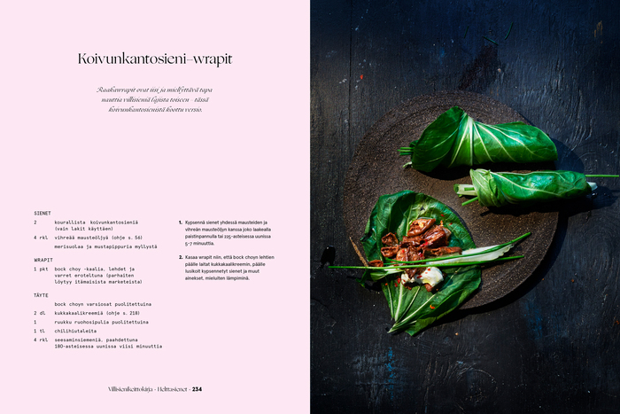 Villisienikeittokirja (The Wild Mushroom Cookbook) 7