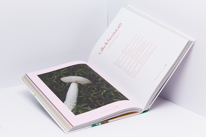 Villisienikeittokirja (The Wild Mushroom Cookbook) 5
