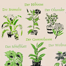 <cite>Kleines Blumen-ABC</cite>