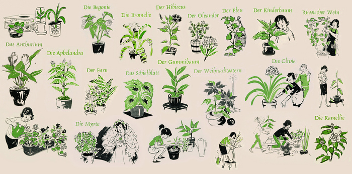 Kleines Blumen-ABC 1