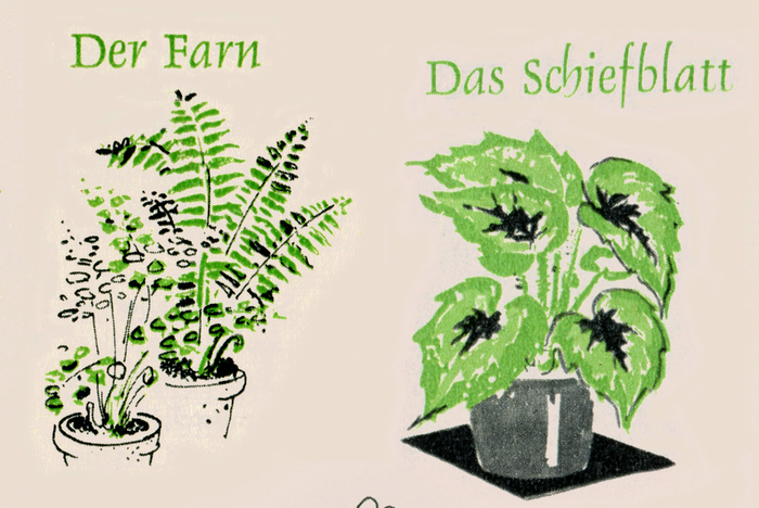 Detail