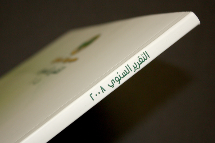 Savola Annual Report 2008 1