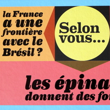 <cite>Le Livre des Vrai / Faux</cite> by Gérard Dhôtel and Benoît Perroud