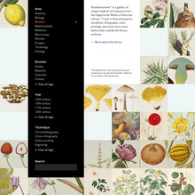 <cite>Wunderkammer</cite> website