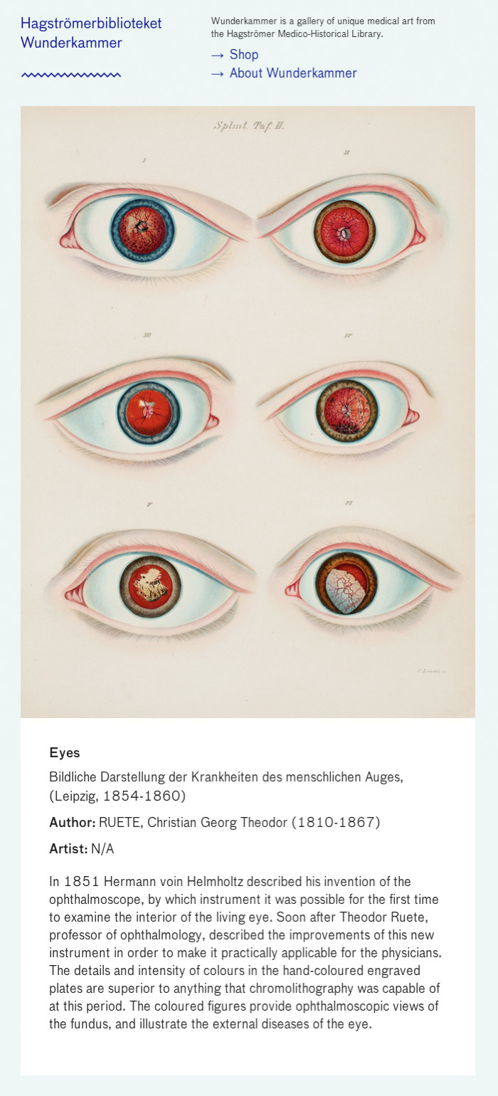 Wunderkammer website 3
