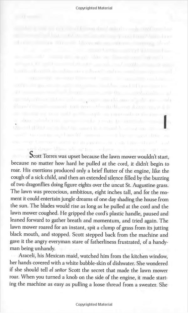 The Barbarian Nurseries 6