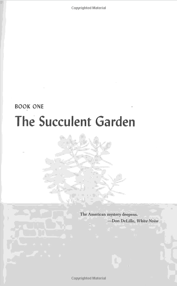 The Barbarian Nurseries 4