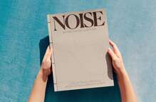 <cite>Noise: Within, Among and Beyond</cite>