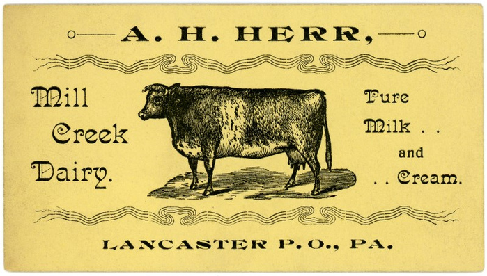 A. H. Herr, Mill Creek Dairy business card