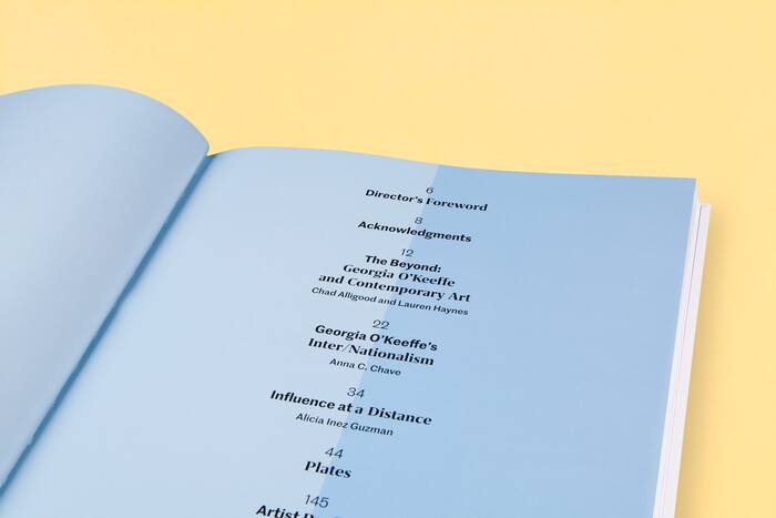 The Beyond: Georgia O’Keeffe and Contemporary Art 6