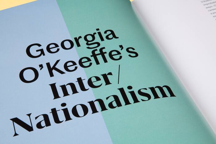 The Beyond: Georgia O’Keeffe and Contemporary Art 8