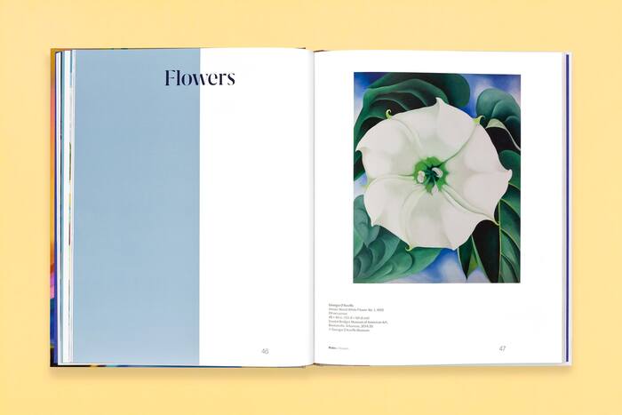 The Beyond: Georgia O’Keeffe and Contemporary Art 12