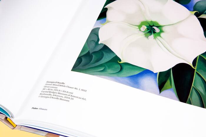 The Beyond: Georgia O’Keeffe and Contemporary Art 13