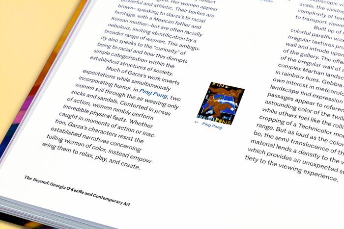 The Beyond: Georgia O’Keeffe and Contemporary Art 19