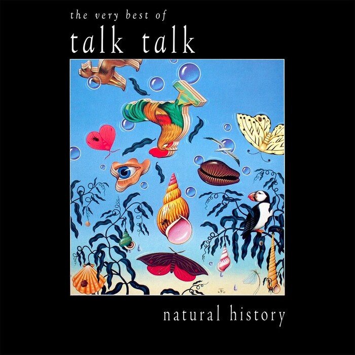 Talk Talk – natural history: the very best of talk talk album art 1