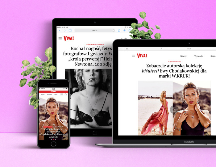 Viva! website 1