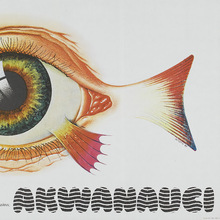 <cite>Akwanauci</cite> Polish movie poster