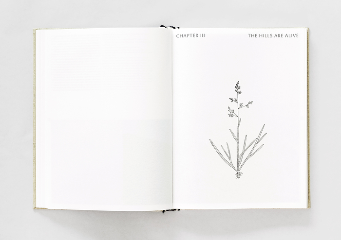 Found botanical illustrations from the book The flora of the Nilgiri and Pulney Hill-tops, 1915, are used as chapter dividers