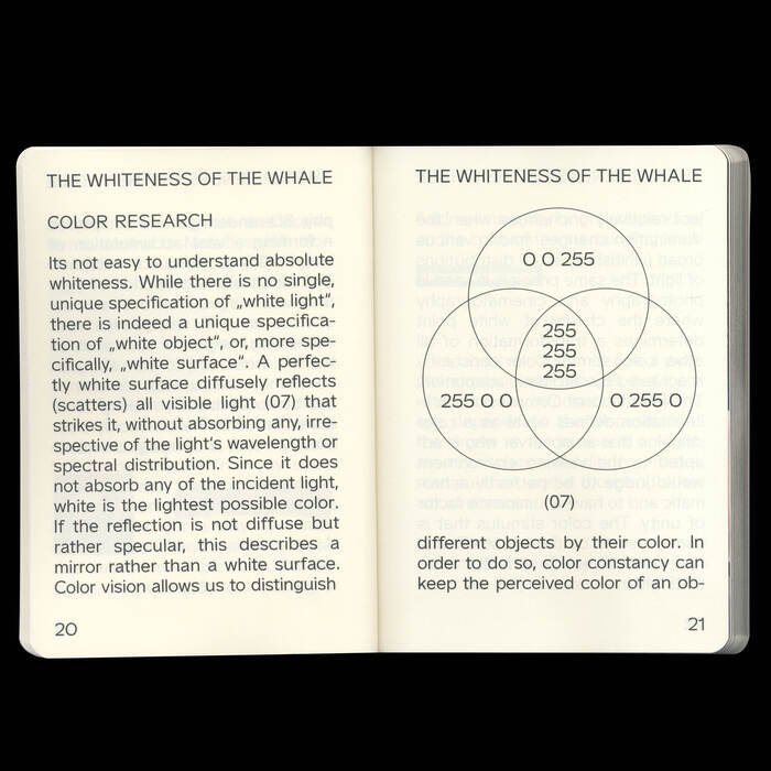 The whiteness of the Whale 2