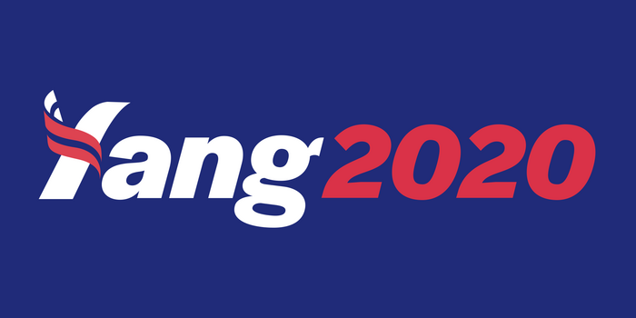 Yang 2020 presidential campaign 1