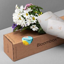 Bloombox Co