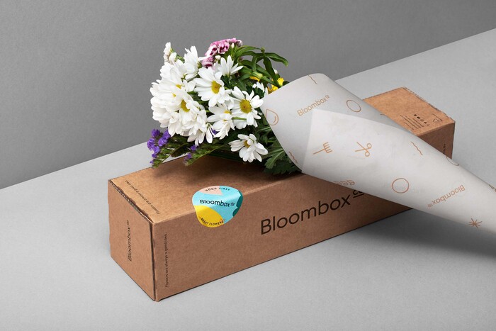 Bloombox Co 6