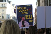 “Never Gonna Give EU Up” Brexit protest placard