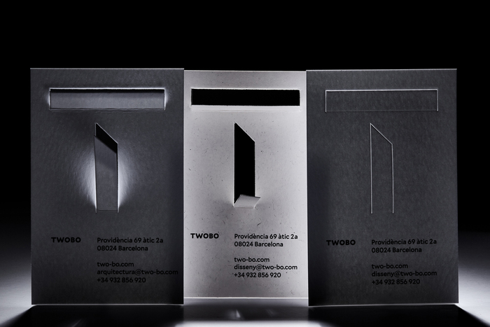 Twobo business cards and website 2