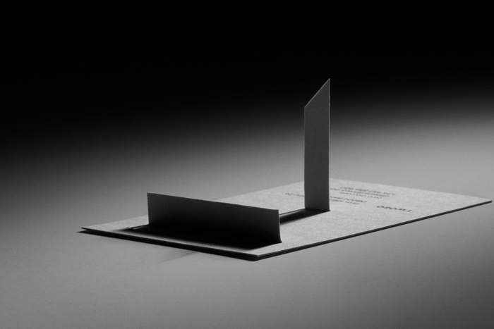Twobo business cards and website 4