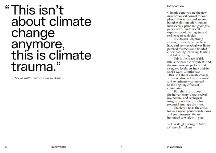 in extremis, Arts House catalog 4