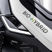 Bio‑Hybrid identity