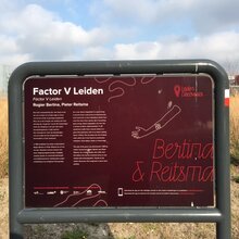 Leiden Discoveries