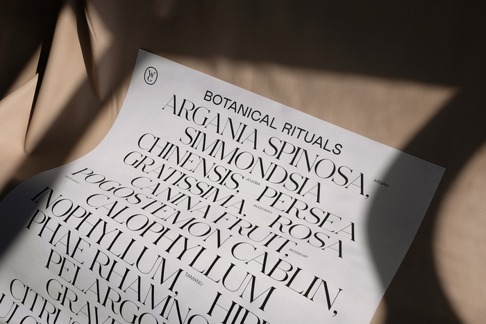 Wild Grace Skincare 5