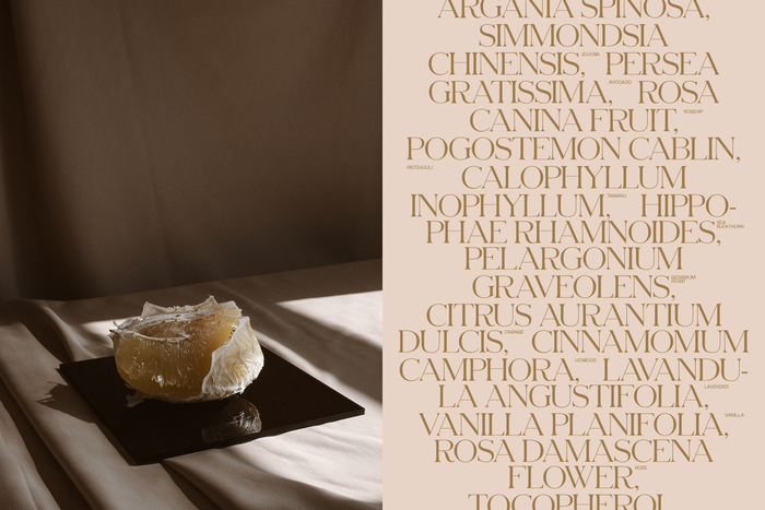 Wild Grace Skincare 4