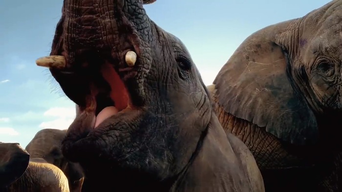 Apple iPhone ad: “Earth Shot on iPhone / Don’t mess with Mother” 1