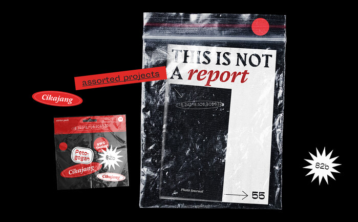 This Is Not a Report 1