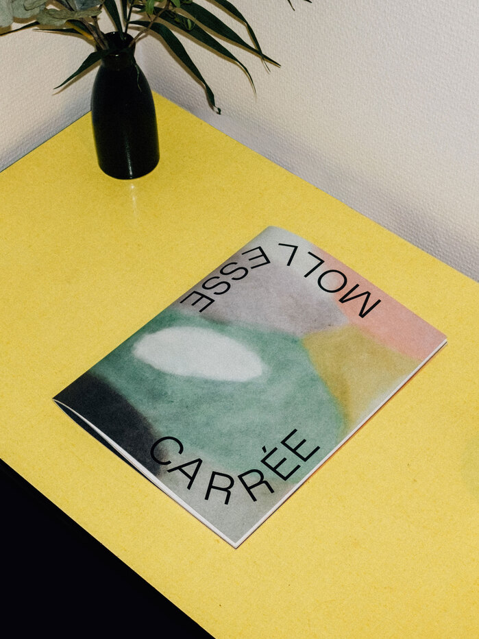 Mollesse Carrée exhibition catalog 1