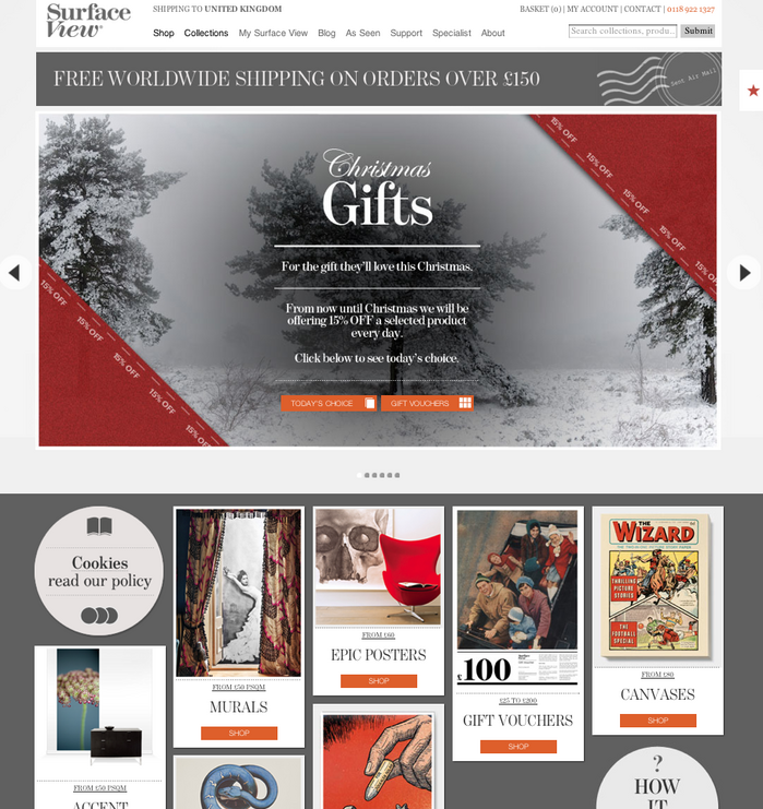 Surface View website 1