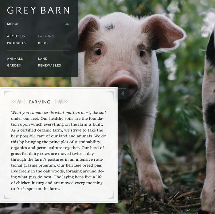 The Grey Barn and Farm 2