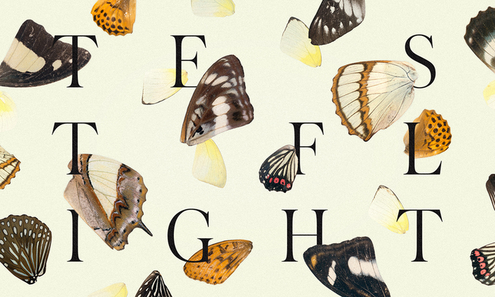 Test Flight, AIGA Chicago 2