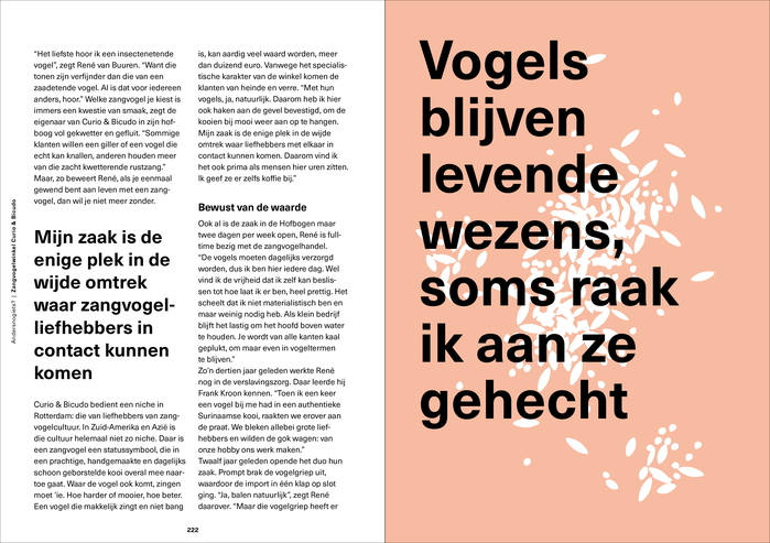 Andersnogiets? De wereld achter de Rotterdamse winkelpui 7