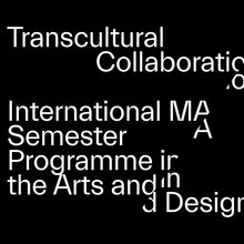 Transcultural Collaboration