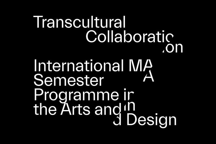Transcultural Collaboration 1
