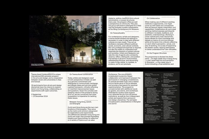 Transcultural Collaboration 3