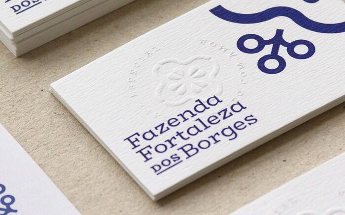 Fazenda Fortaleza dos Borges 5