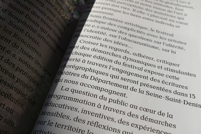 Rencontres Chorégraphiques de Seine-Saint-Denis 2019 5