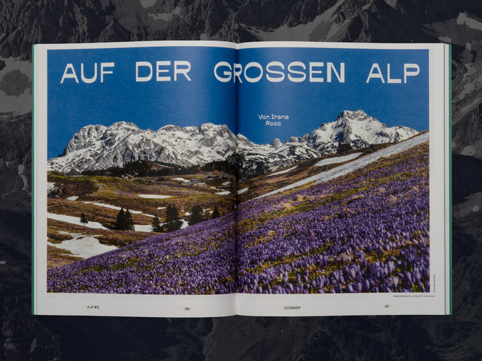 ALP magazine 6