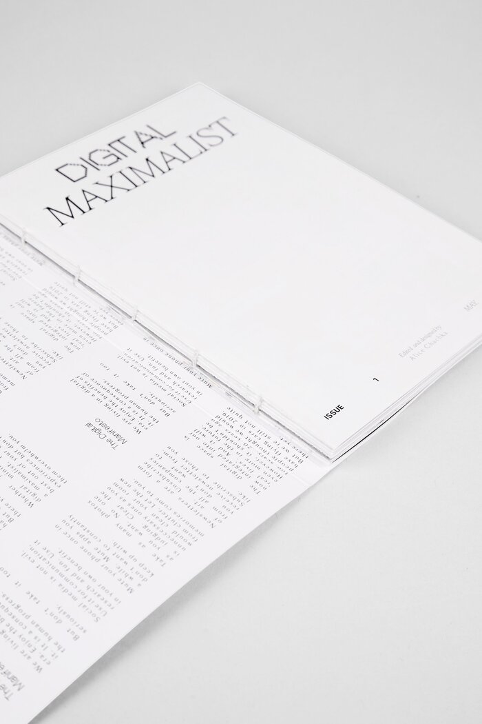 Digital Maximalist 3