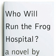 <cite>Who Will Run the Frog Hospital?</cite> by Lorrie Moore