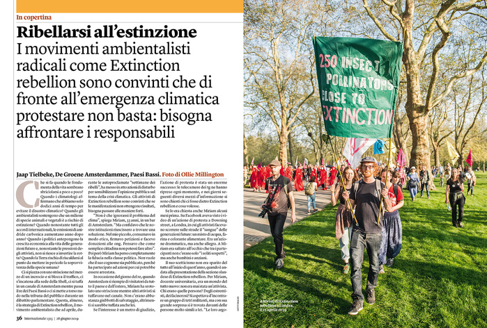 The central section of the magazine is dedicated to reportages and investigative reports. The layout is freer and we can play with the font size for more interesting effects.